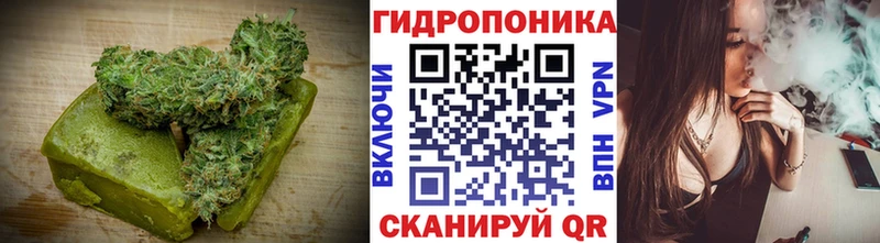 Canna-Cookies марихуана  Луга 