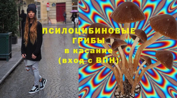 МДПВ Лагань