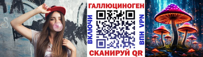 цена наркотик Луга Псилоцибиновые грибы мицелий