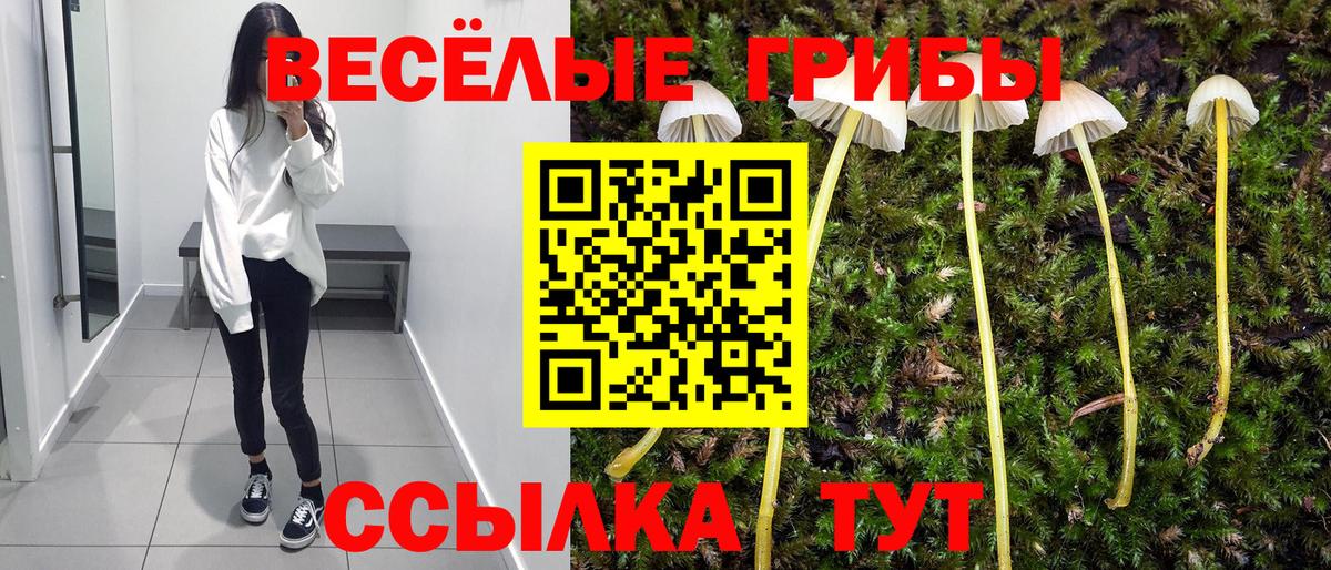 Псилоцибиновые грибы мицелий  Вход с VPN  Галлюциногенные грибы MAGIC MUSHROOMS  Луга 
