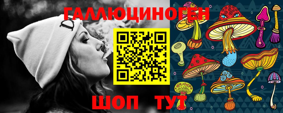 Галлюциногенные грибы GOLDEN TEACHER Луга