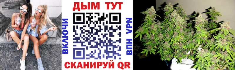 Конопля ГИДРОПОН  Луга 